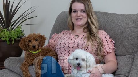 The Ultimate Dog Obedience Training Course