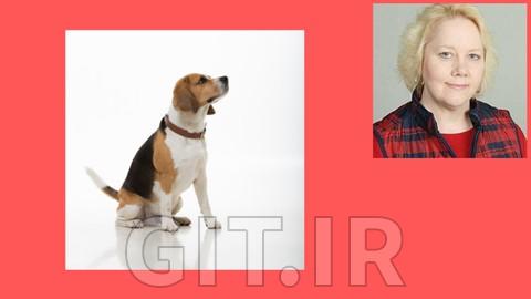 Learn Research Based Dog Training for Behavior Management