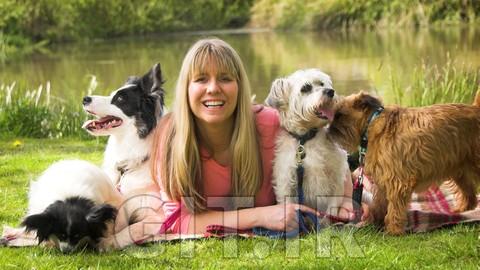 Pet Training - Stop Dog Barking  - Easy Dog Training Methods