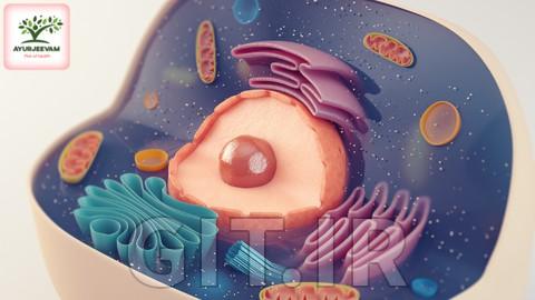 Basics of Pathology