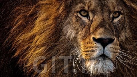 How to Earn from Photography: Absolute Beginners Guide