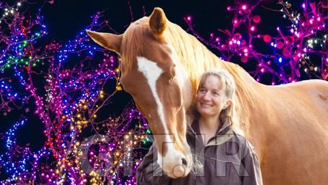 Equine Communication Training
