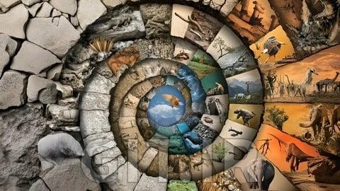 Evolution and The History of Life in Deep Time