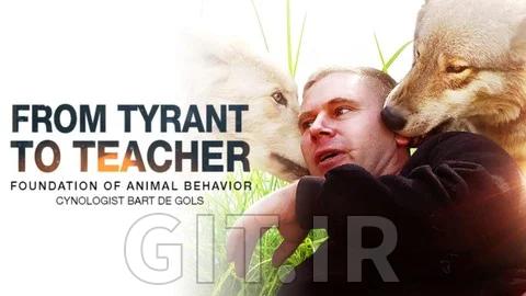 How do dogs learn? - Basis of Animal Behavior & Dog Training