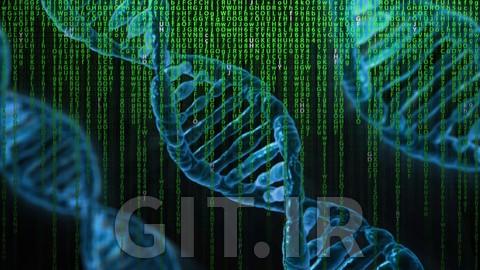 Optimization Using Genetic Algorithms : MATLAB Programming