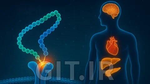 GLP-1 & GIP Drugs:Ozempic, Wegovy-Obesity & Diabetes Therapy