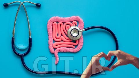 Gut Health Unleashed