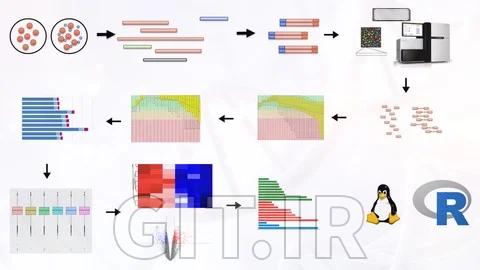 Hands-On RNA-Seq Analysis Crash Course: From FASTQ to DEGs