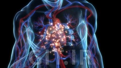 Heart Failure: Basics & Management