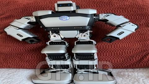HMOD101 - Humanoid Robotics in Action