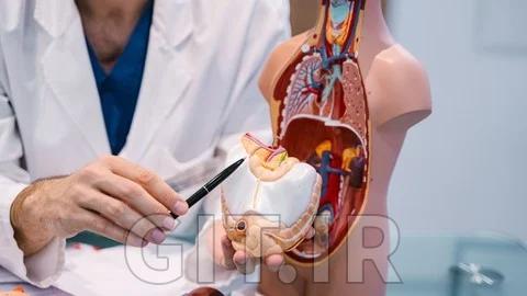 Human Physiology for Medical Coding, Billing & Healthcare