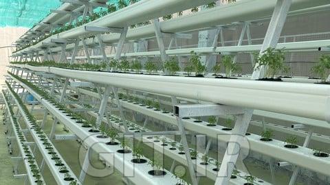 HYDROPONICS MASTERCLASS
