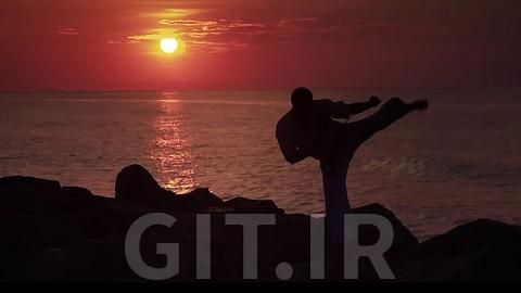 Introduction to Isshinryu Karate: 15 Kihon