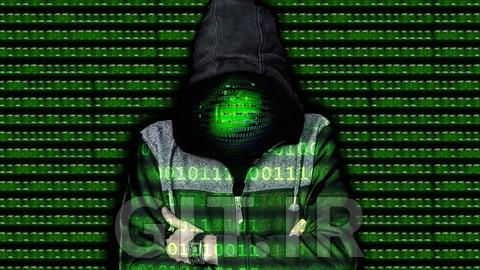 Introduction to the Dark Web