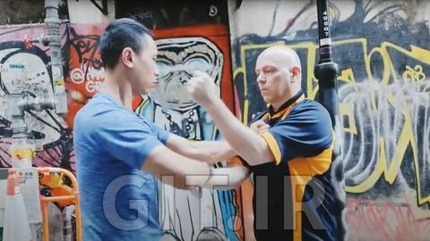 Wing Chun Sil Lim Tao (Siu Nim Tau) First Form Basics