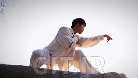 Kung Fu Mantis Fist,a quick-start martial art for beginners