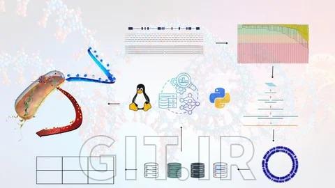 Learn Antimicrobial Resistance Detection Analysis using bash