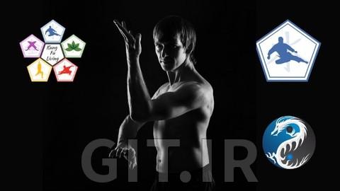 Learn Kung Fu Online for beginners