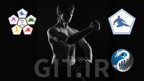 Learn Kung Fu Online - Intermediate