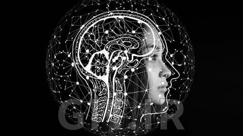 Learn Psychoneuroimmunology