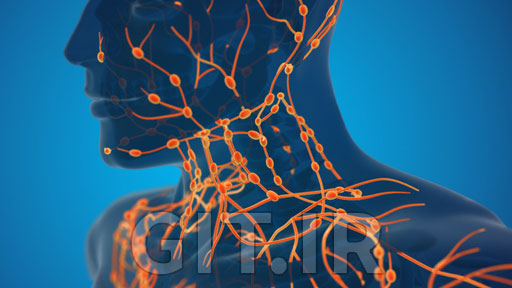 Lymphatic Drainage Massage Therapy Certificate Course
