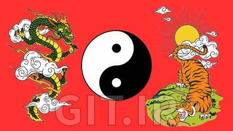 Martial Arts: Karate, Kung Fu, Boxing, and Kenpo Training