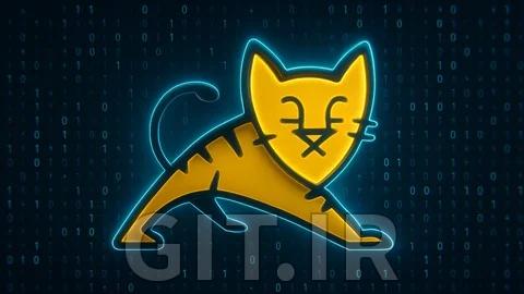 Mastering Apache Tomcat and HTTP Server: Beginner to Expert