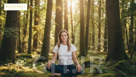 Meditate Like a Pro+: Master the Fundamentals of Mindfulness