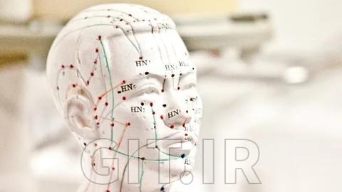 Master Meridian Therapy, A Guide for Beginner & Intermediate