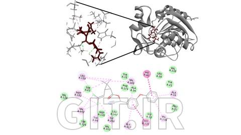 Molecular Docking