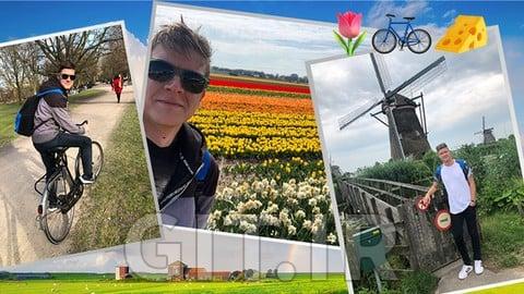 Move to the Netherlands