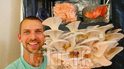 Growing Mushrooms Indoors for Business and Pleasure