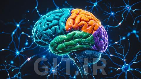 Neuroanatomy in 60 Minutes: Rapid Revision for Medical Exams