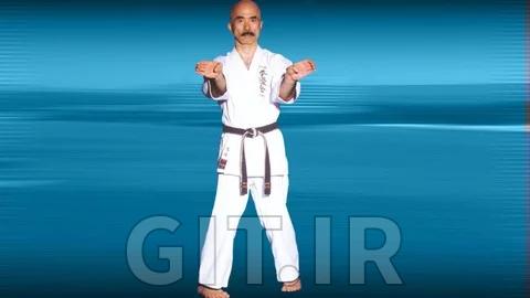 Okinawa Uechi-Ryu Karate-Do by Takemi Takayasu Vol.1
