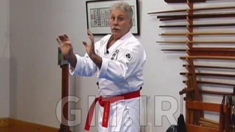 Okinawan White Crane Karate - Speed and Evasion Vol. 1