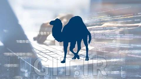 The Complete Course of Perl Programming 2025