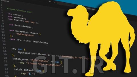 Perl Programming: Understanding The Basics [2024]