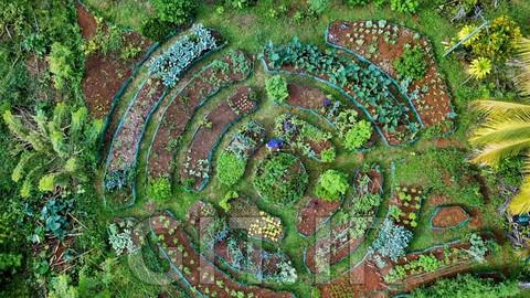 Permaculture Design Mastery: Creating Thriving Ecosystems