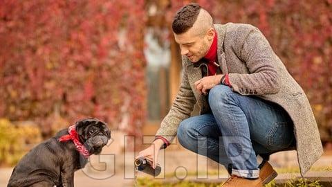 Pet Nutritionist Complete Training with Ration Formulation