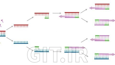 Data Analysis Using Python Libraries