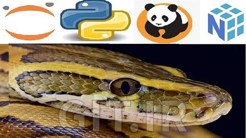 2022 Python Bootcamp for Data Science Numpy Pandas & Seaborn