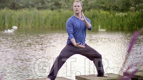 Qi Gong for Depression & Emotional Balance w Lee Holden