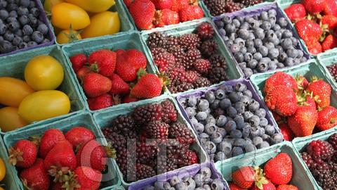 Reset Your Gut For Weight Loss And Mental Clarity