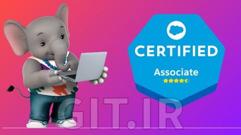 Salesforce Platform Foundations Certification Course