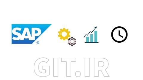 SAP Performance analysis for ABAP, BW, Functional consultant