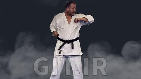 Shotokan Mastery Build A Strong Foundation Master The Basics