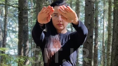 Wing Chun Sil Lim Tao Video Program