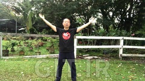Six Healing Sounds Qi Gong with Tai Chi for Relaxation