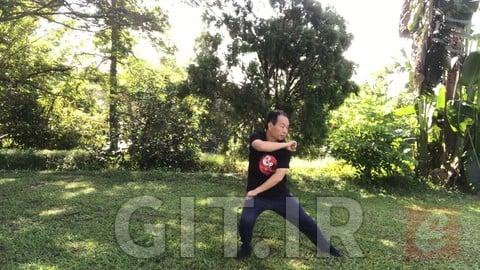 Sparring Tai Chi-Chen New Frame Routine XinJia 2 for Fitness
