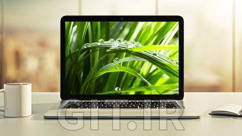 Spring Boot 3, Spring 6 and Hibernate for Beginners